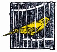 Le canari est devenu le symbole du 28 avril. Autrefois, il était utilisé dans les puits de mine pour détecter les gaz toxiques ou l'appauvrissement de l'apport en oxygène.