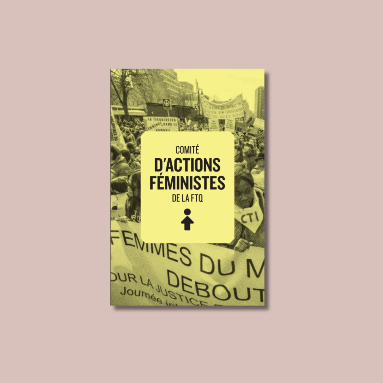 Guide Comité d'actions féministes de la FTQ Fédération des